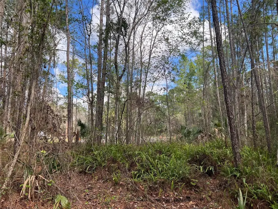 Tomahawk Trail, Deland, FL 32720 - #2