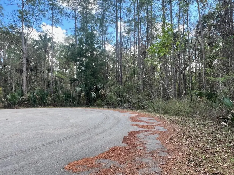 Tomahawk Trail, Deland, FL 32720 - #3