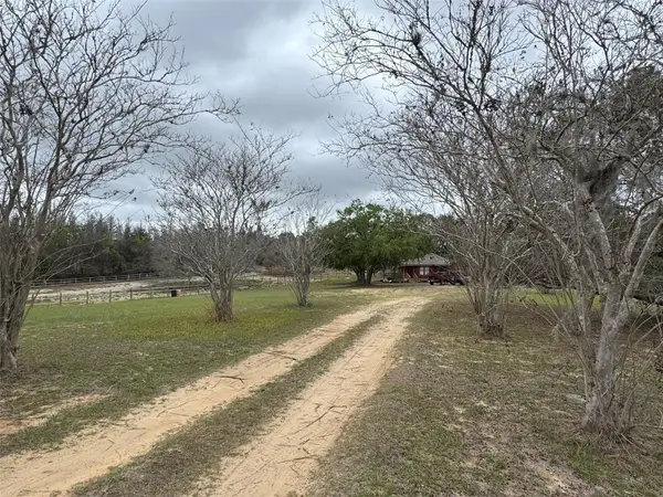 18001 Phil C Peters Road, WINTER GARDEN, FL 34787