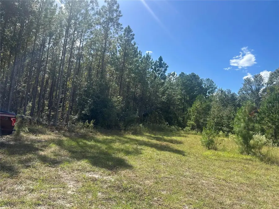 14215 97th Road, Live Oak, FL 32060 - #2