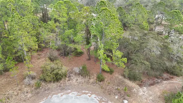 1255 Wahneta Drive, KISSIMMEE, FL 34759