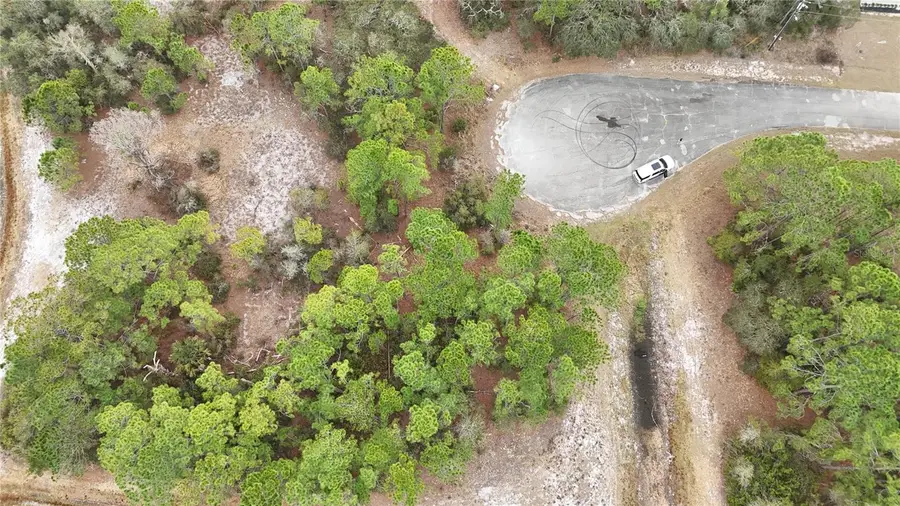 1255 Wahneta Drive, Poinciana, FL 34759 - #3