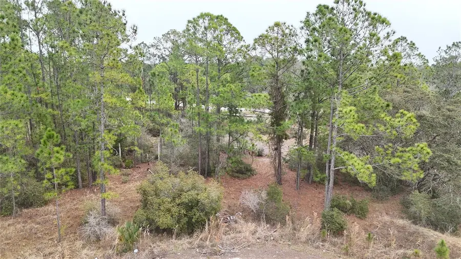 1256 Wahneta Drive, Poinciana, FL 34759 - #2