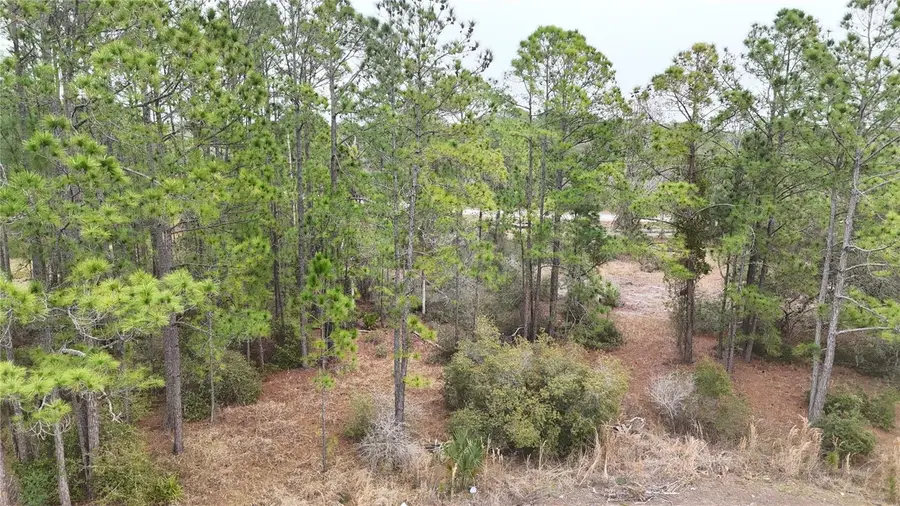 1256 Wahneta Drive, Poinciana, FL 34759 - #3