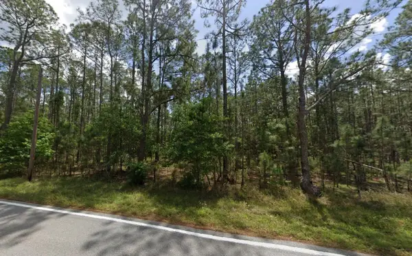 Poyner Oaks Road N, POLK CITY, FL 33868