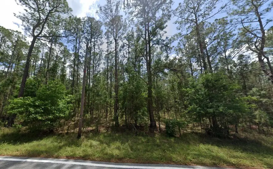 Poyner Oaks Road N, Polk City, FL 33868 - #3