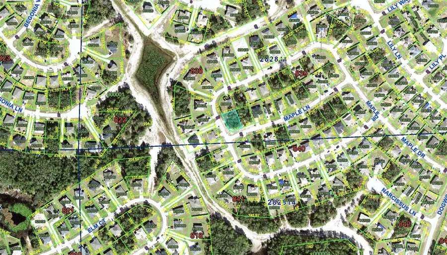 174 Maple Drive, Poinciana, FL 34759 - #3