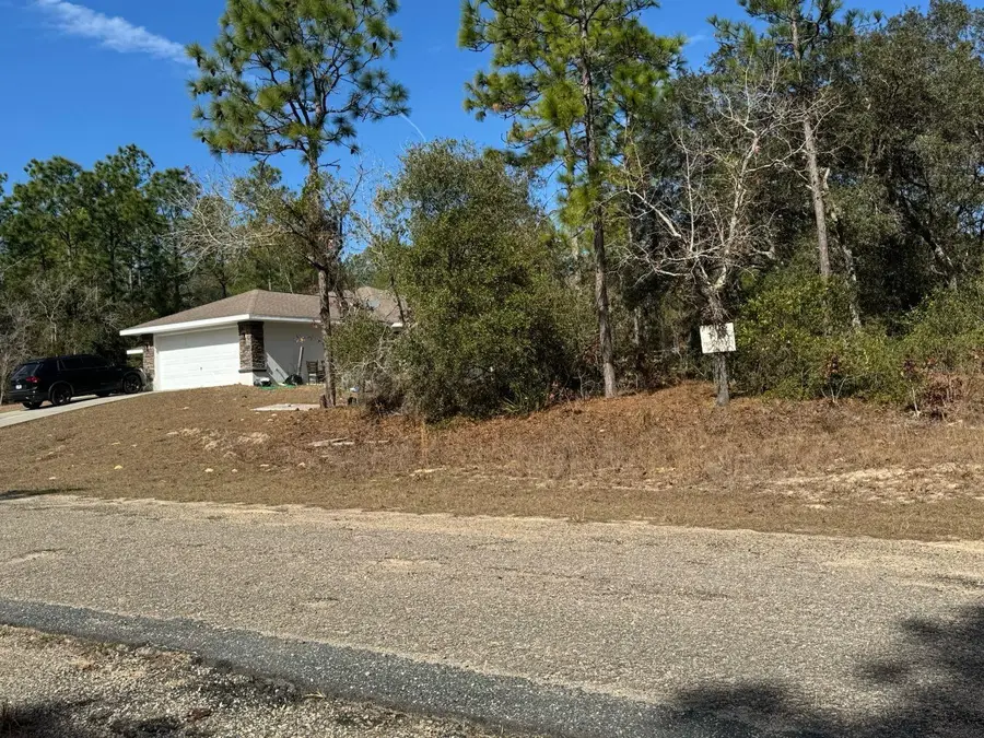 3957 W Firewood Loop, Dunnellon, FL 34433 - #2