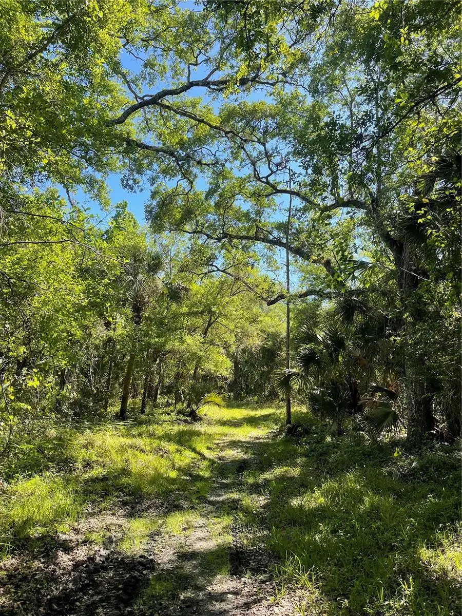 Harrison Road, Mims, FL 32754 - #2