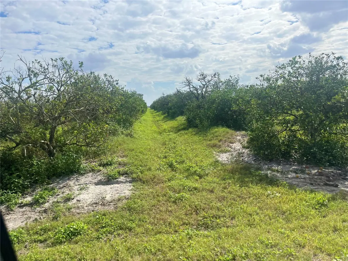 Ne Hwy 70, Arcadia, FL 34266 - #1