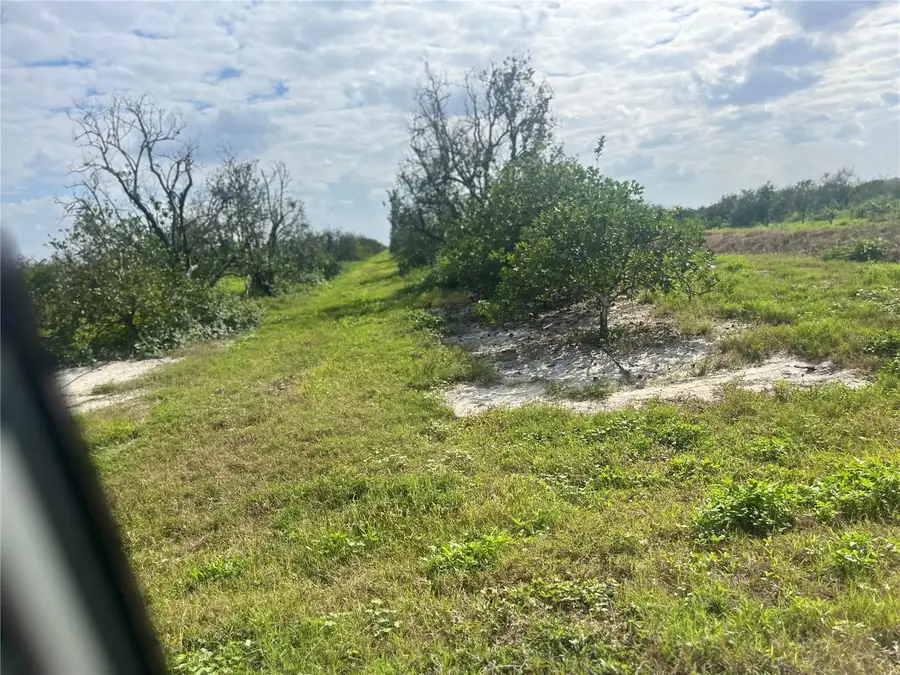 Ne Hwy 70, Arcadia, FL 34266 - #2