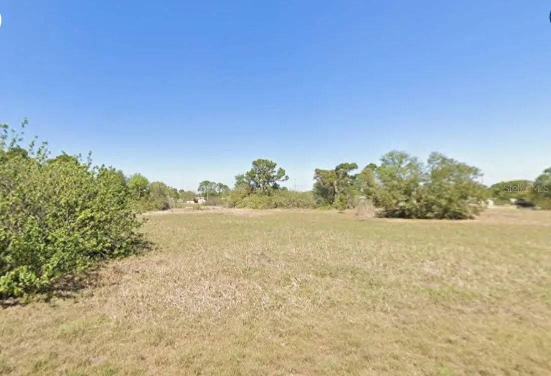 236 Starlight Avenue, Lake Placid, FL 33852 - #1