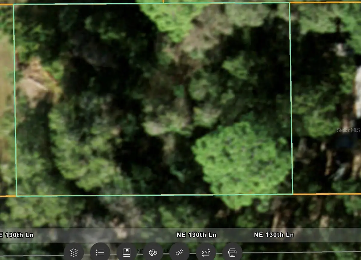 NE 130 Lane, Salt Springs, FL 32134 - #1