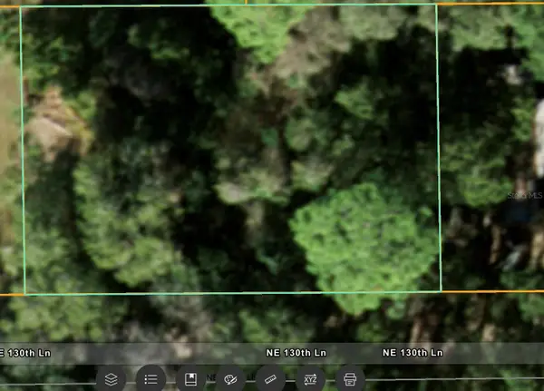 NE 130 Lane, SALT SPRINGS, FL 32134