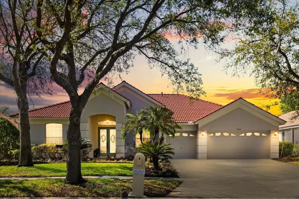 10207 Arbor Side Drive, TAMPA, FL 33647