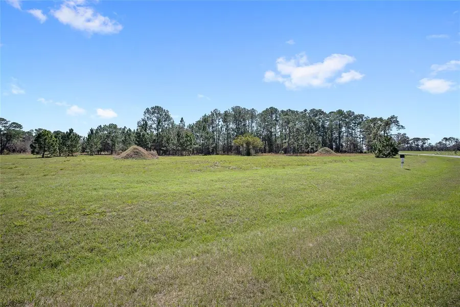 38514 Wooded Meadow Drive, Umatilla, FL 32784 - #3