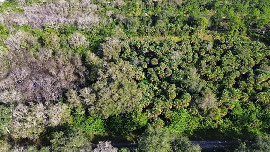 1219 Rosita Street E, Lehigh Acres, FL 33974 - #2