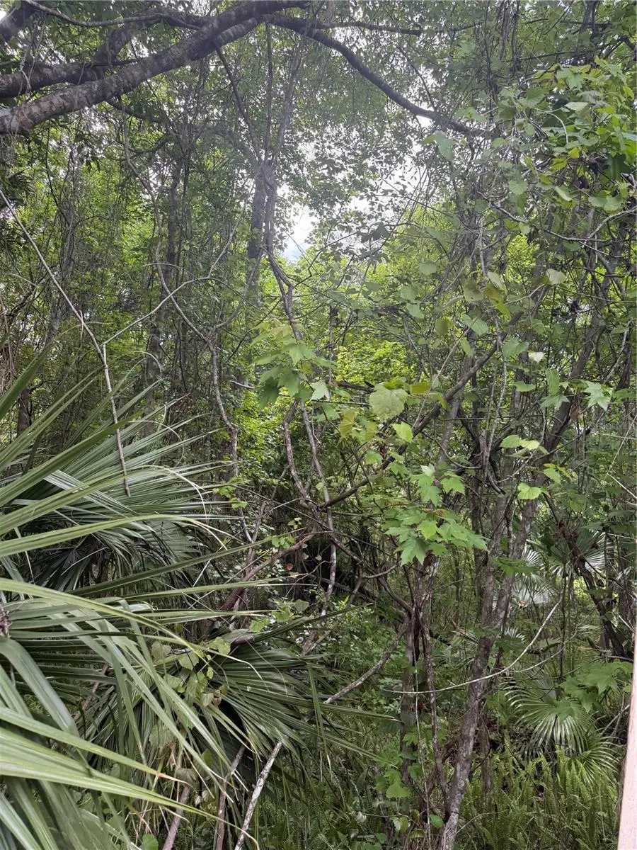 32937 Thoroughbred Trail, Sorrento, FL 32776 - #1