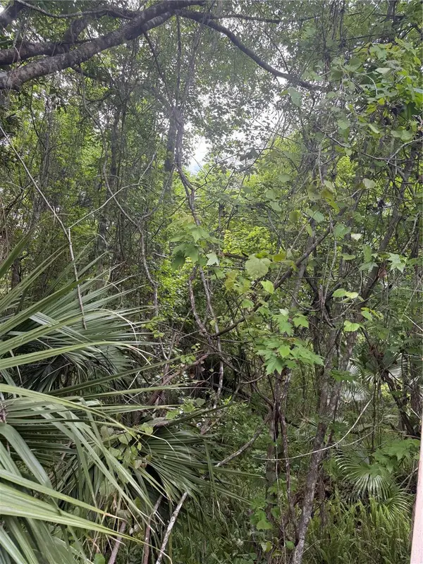 32937 Thoroughbred Trail, SORRENTO, FL 32776