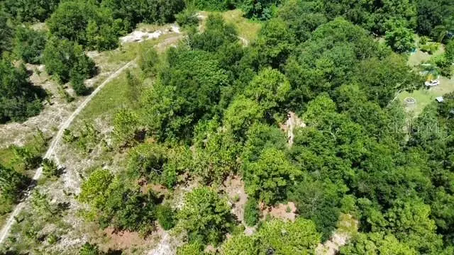 4026 N Orange Blossom Trail, Mount Dora, FL 32757 - #3