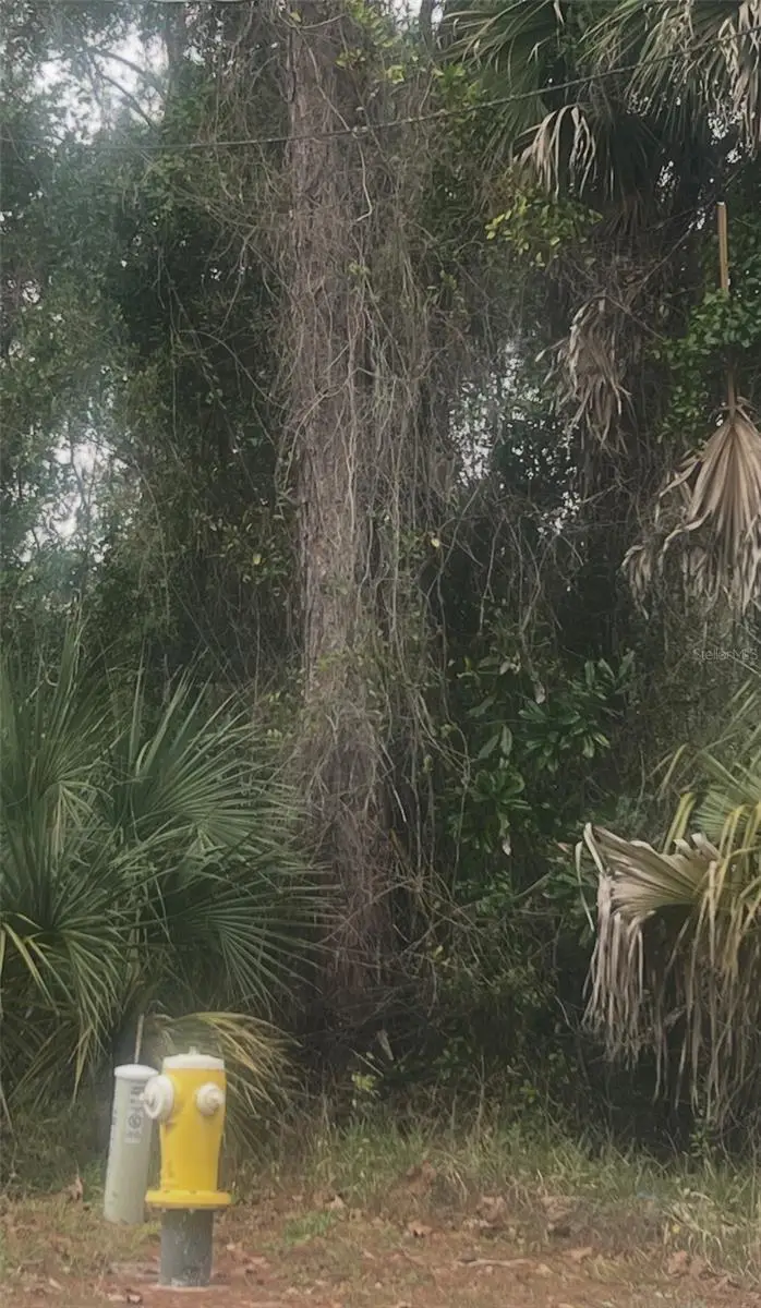 900 W 3rd Street, Saint Augustine, FL 32084 - #2