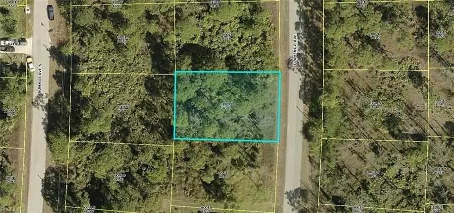 512 Flamingo Avenue, Lehigh Acres, FL 33974 - #2