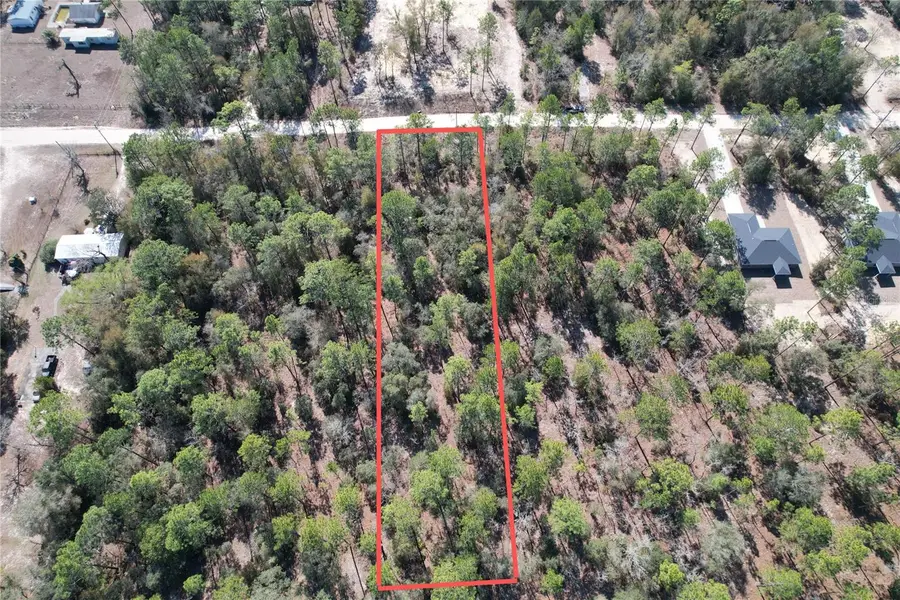 SW 47th Place, Dunnellon, FL 34432 - #2