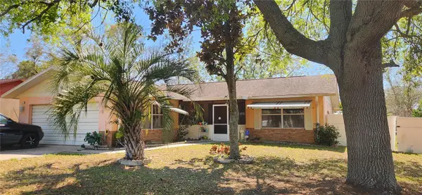 29 Oak Loop, OCALA, FL 34472