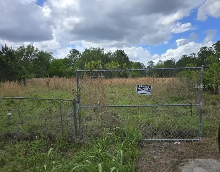 8878 SE 180th Avenue Road, Ocklawaha, FL 32179 - #2