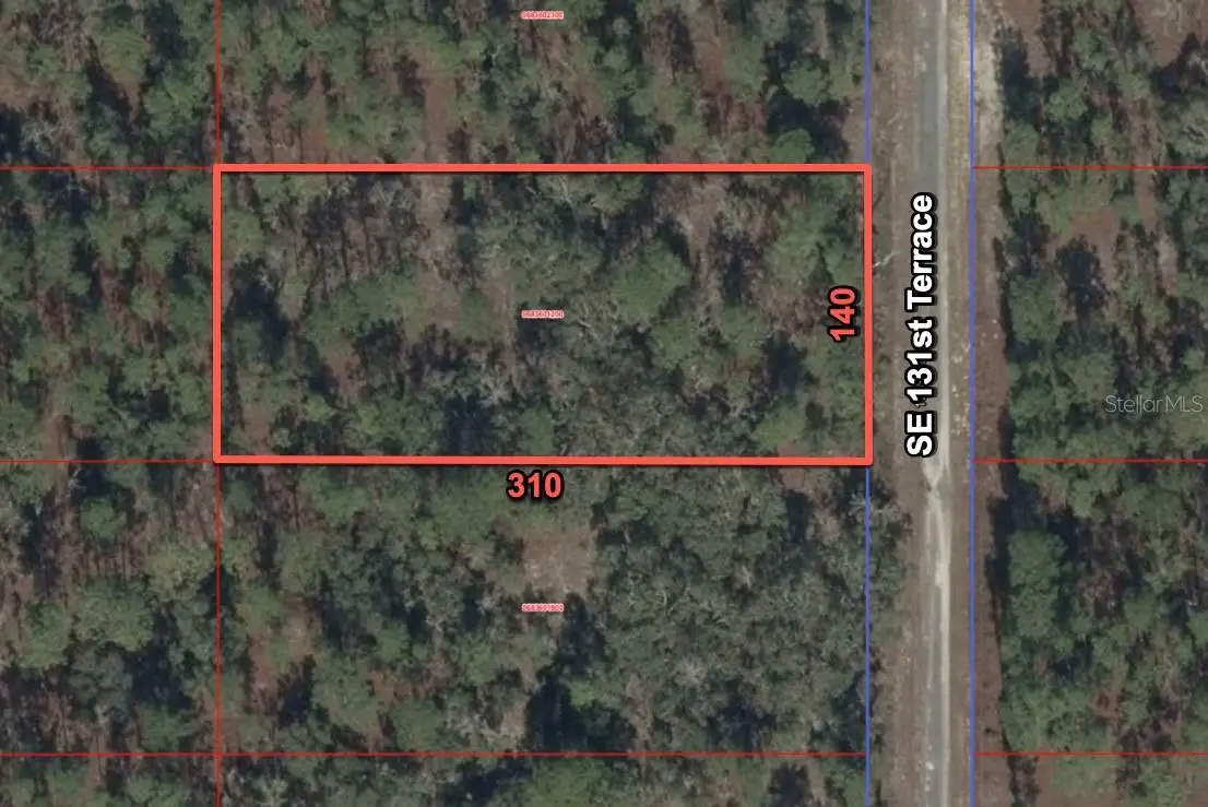 11320 Se 131st Ter, Dunnellon, FL 34431 - #1