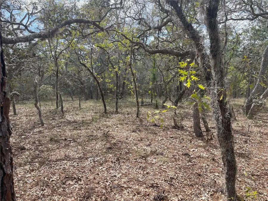 11320 Se 131st Ter, Dunnellon, FL 34431 - #2