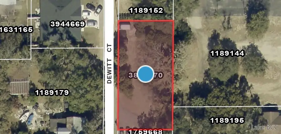 Dewitt Court, Eustis, FL 32726 - #3