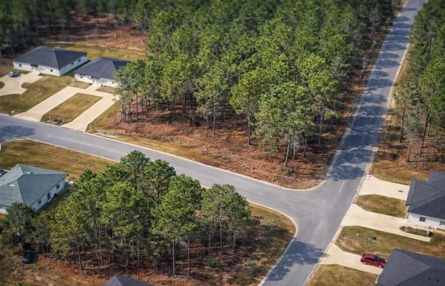 9536 N Camel Drive, Dunnellon, FL 34434 - #2