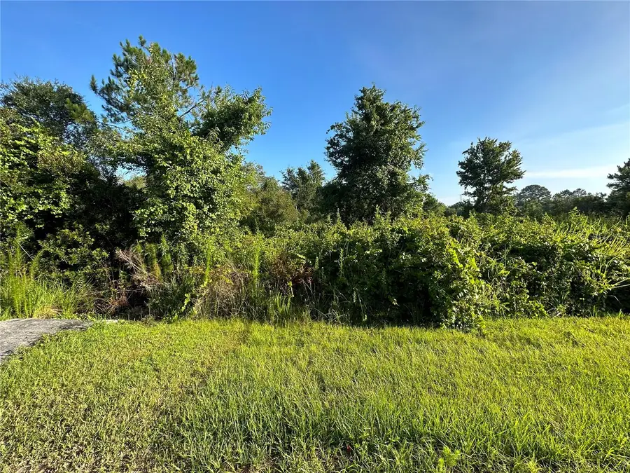 626 Mediterranean Court, Poinciana, FL 34759 - #3