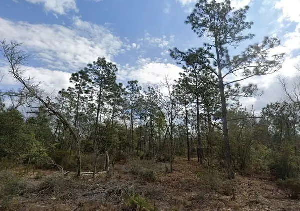 Park Street, INTERLACHEN, FL 32148