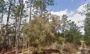 Akron Street, Interlachen, FL 32148 - #1