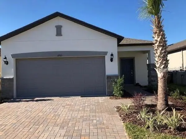 17513 Butterfly Pea Court, CLERMONT, FL 34714