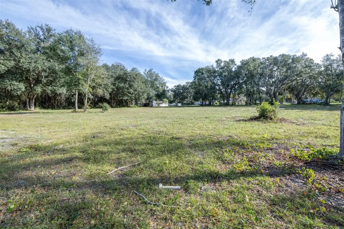 SE 124th Avenue, Webster, FL 33597 - #1