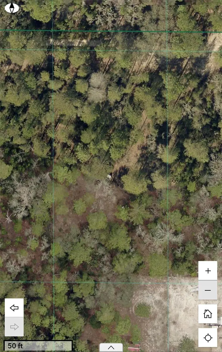 SW 156th Place, Dunnellon, FL 34432 - #1
