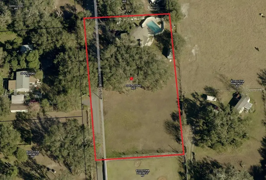 10424 Lyons Avenue, Lithia, FL 33547 - #3