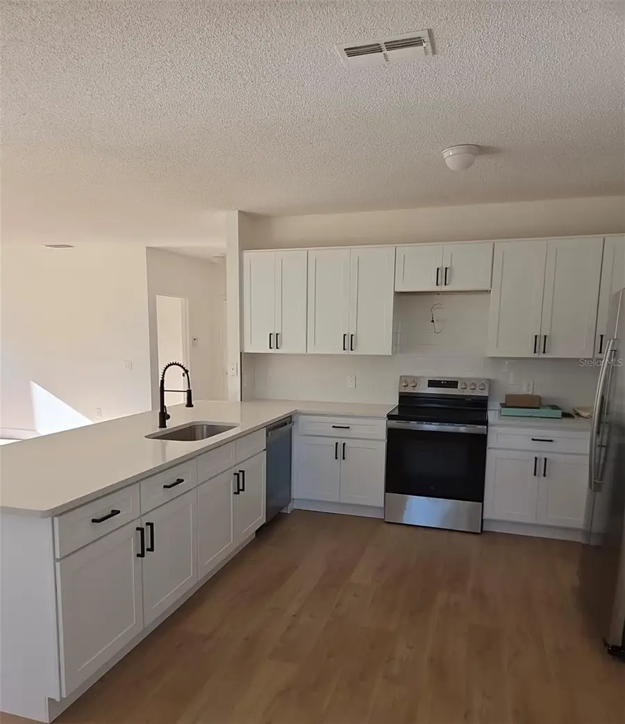 447 Acacia Tree Way, Kissimmee, FL 34758 - #2