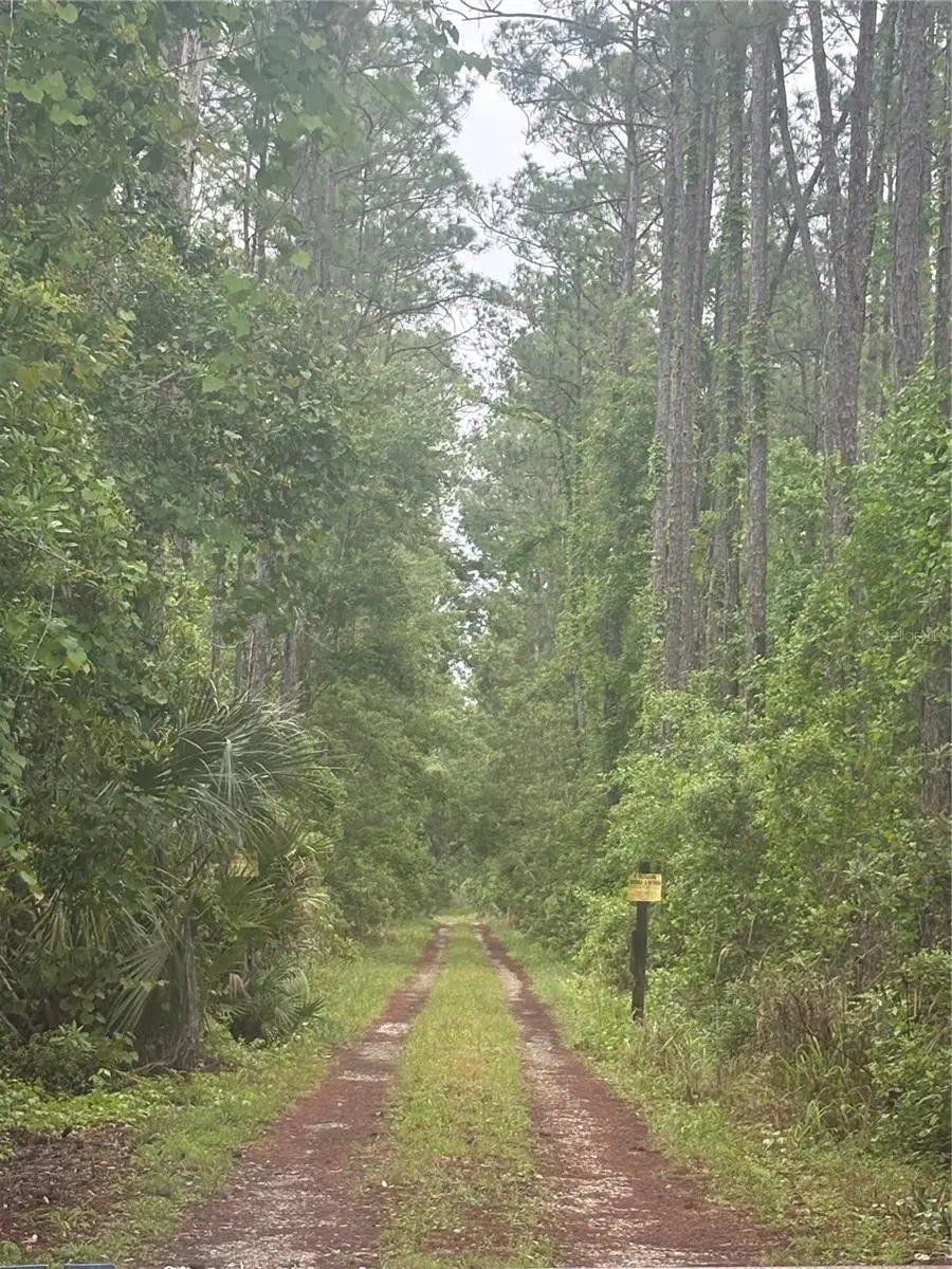 No Street, Deland, FL 32724 - #1