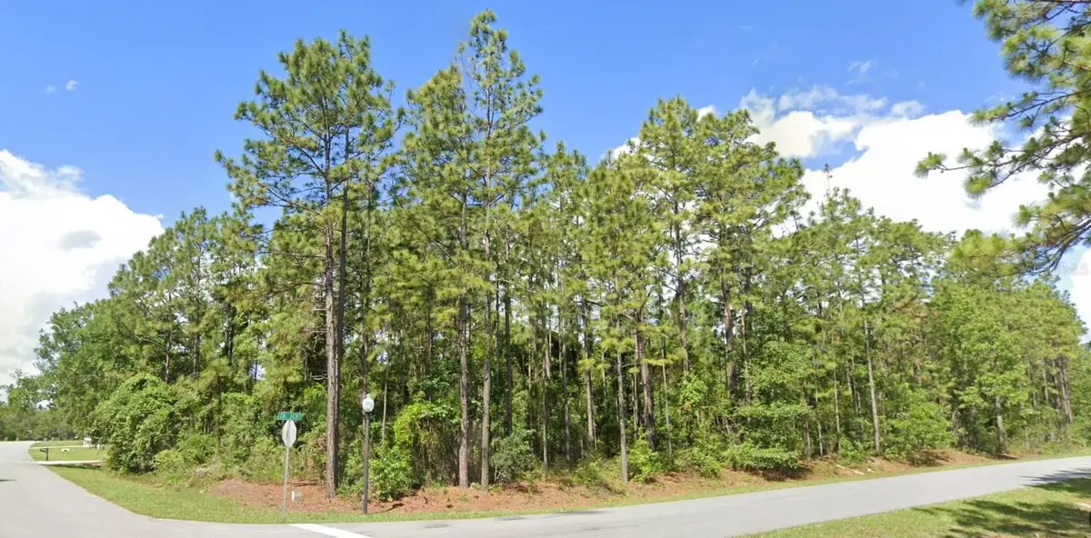 2020 Cr 243 B, Wildwood, FL 34785 - #1