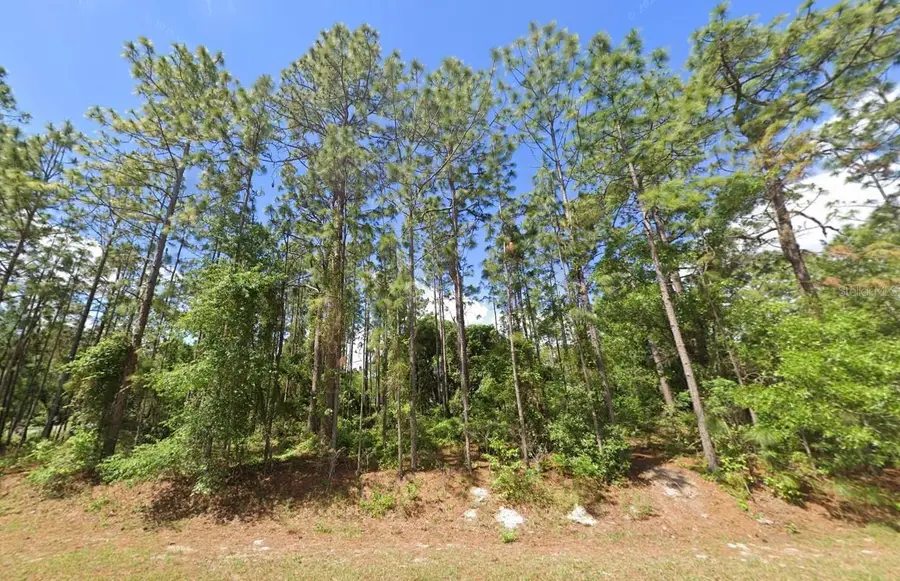 2020 Cr 243 B, Wildwood, FL 34785 - #2