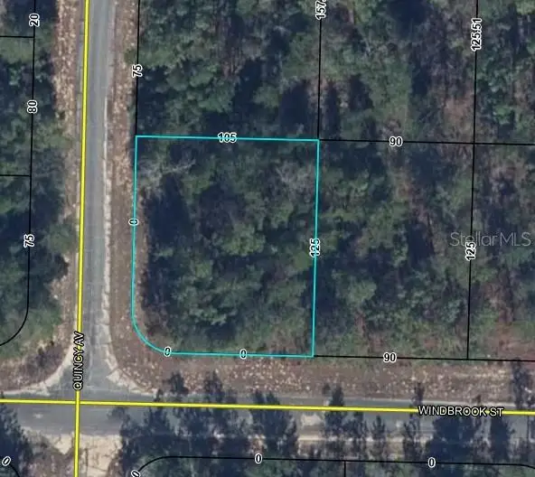 Windbrook Street, Chipley, FL 32428 - #1