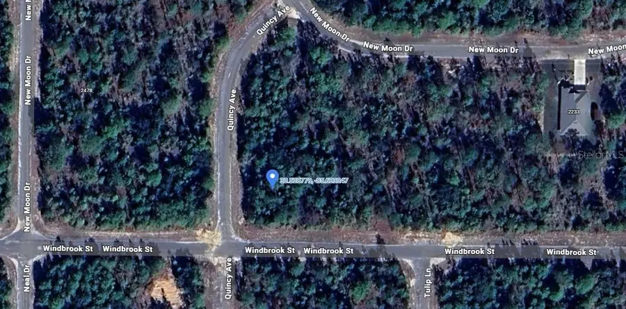 Windbrook Street, Chipley, FL 32428 - #2