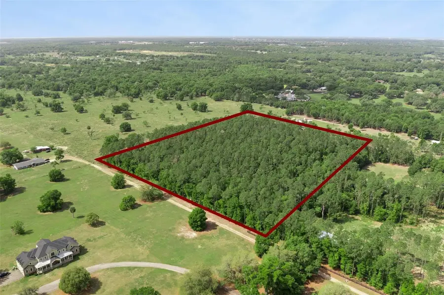 Lake Seneca Road, Eustis, FL 32726 - #2