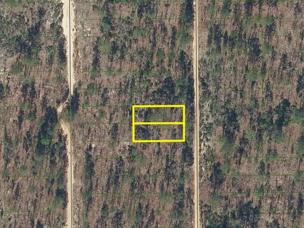 423 Dothan Street, INTERLACHEN, FL 32148