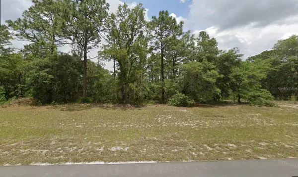 0 138th St Street, OCALA, FL 34473