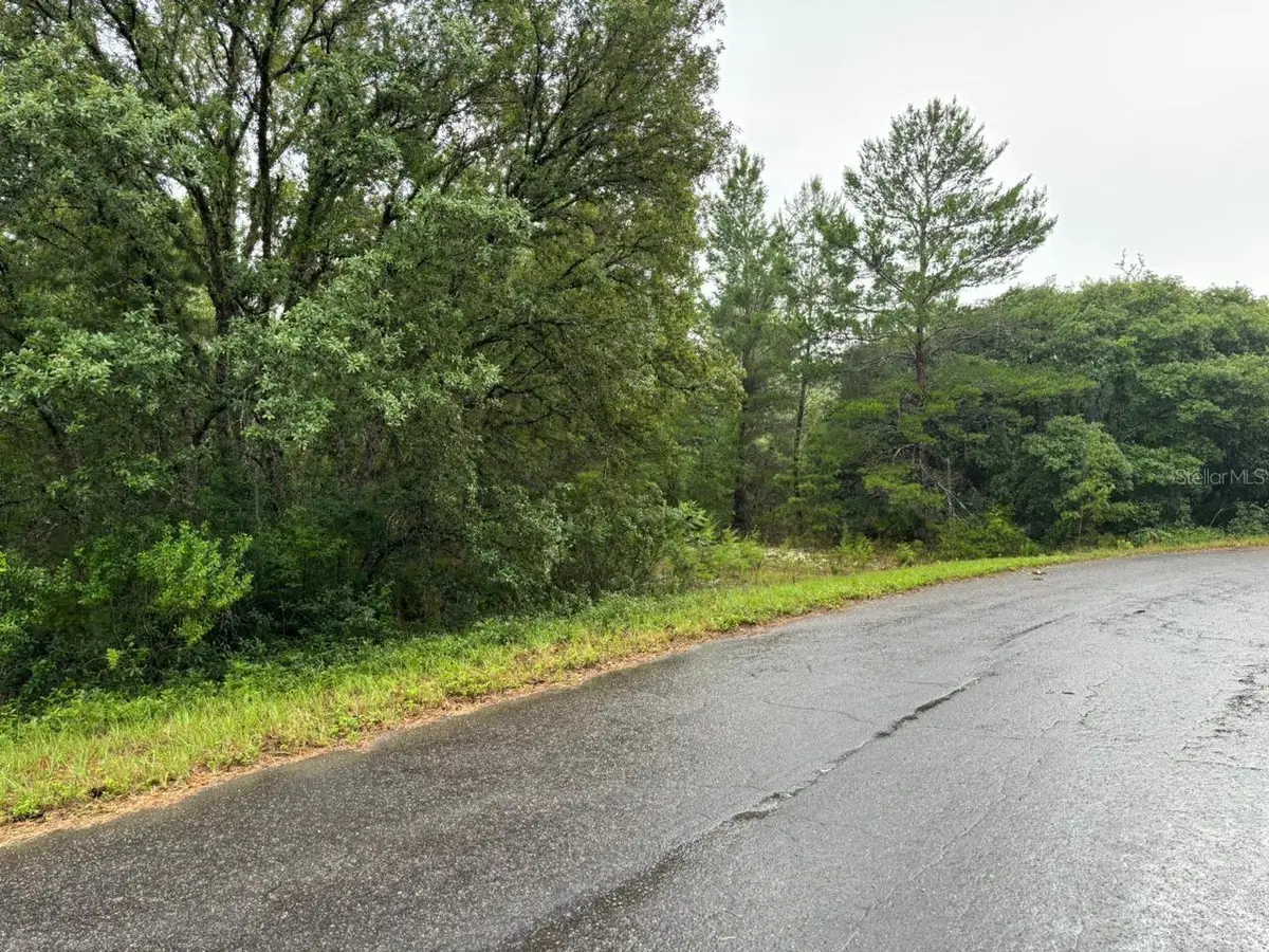 16 Fisher Court Way, Ocklawaha, FL 32179 - #1